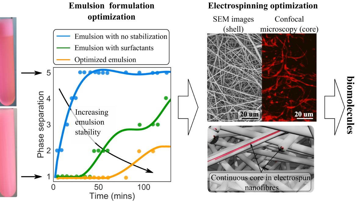 Emulsion Electrospinning